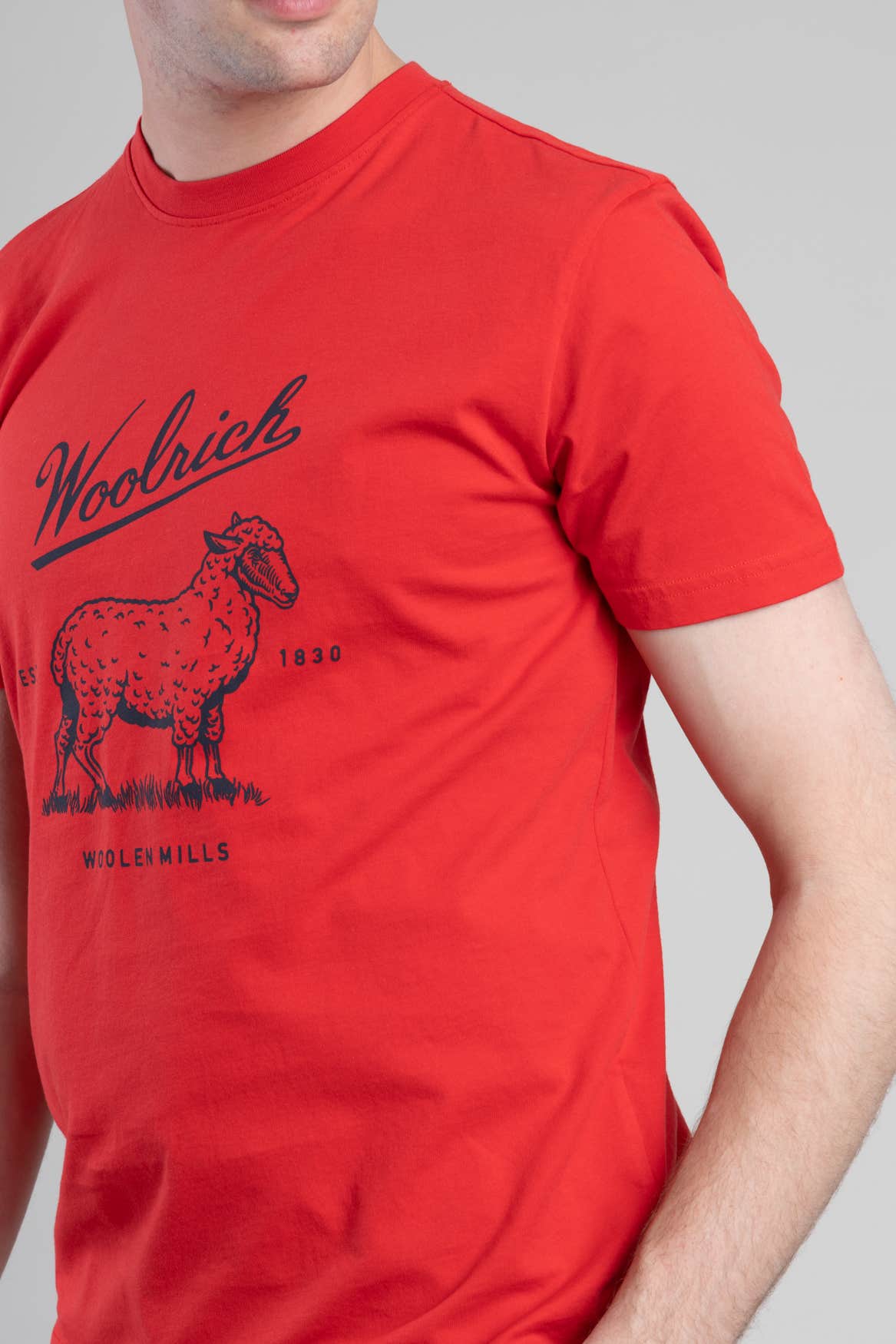 Organic Cotton T-Shirt with Graphic