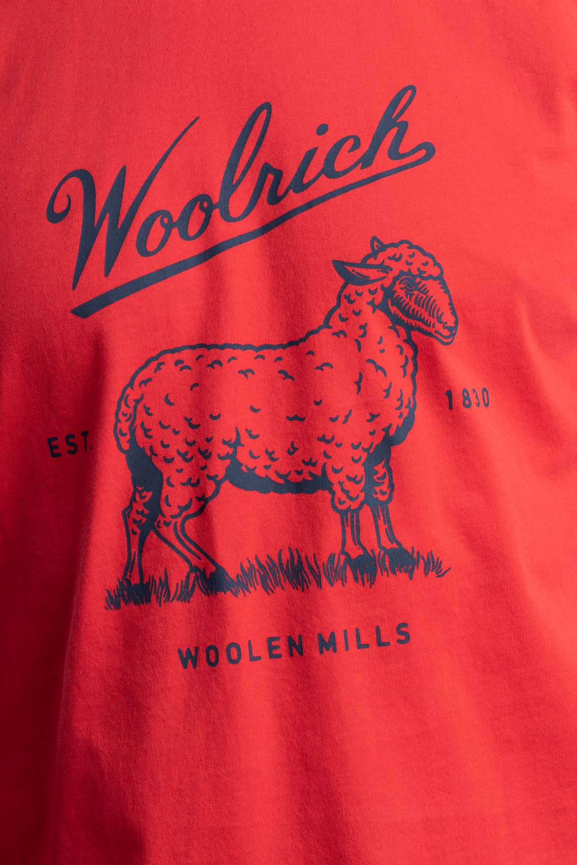 Organic Cotton T-Shirt with Graphic