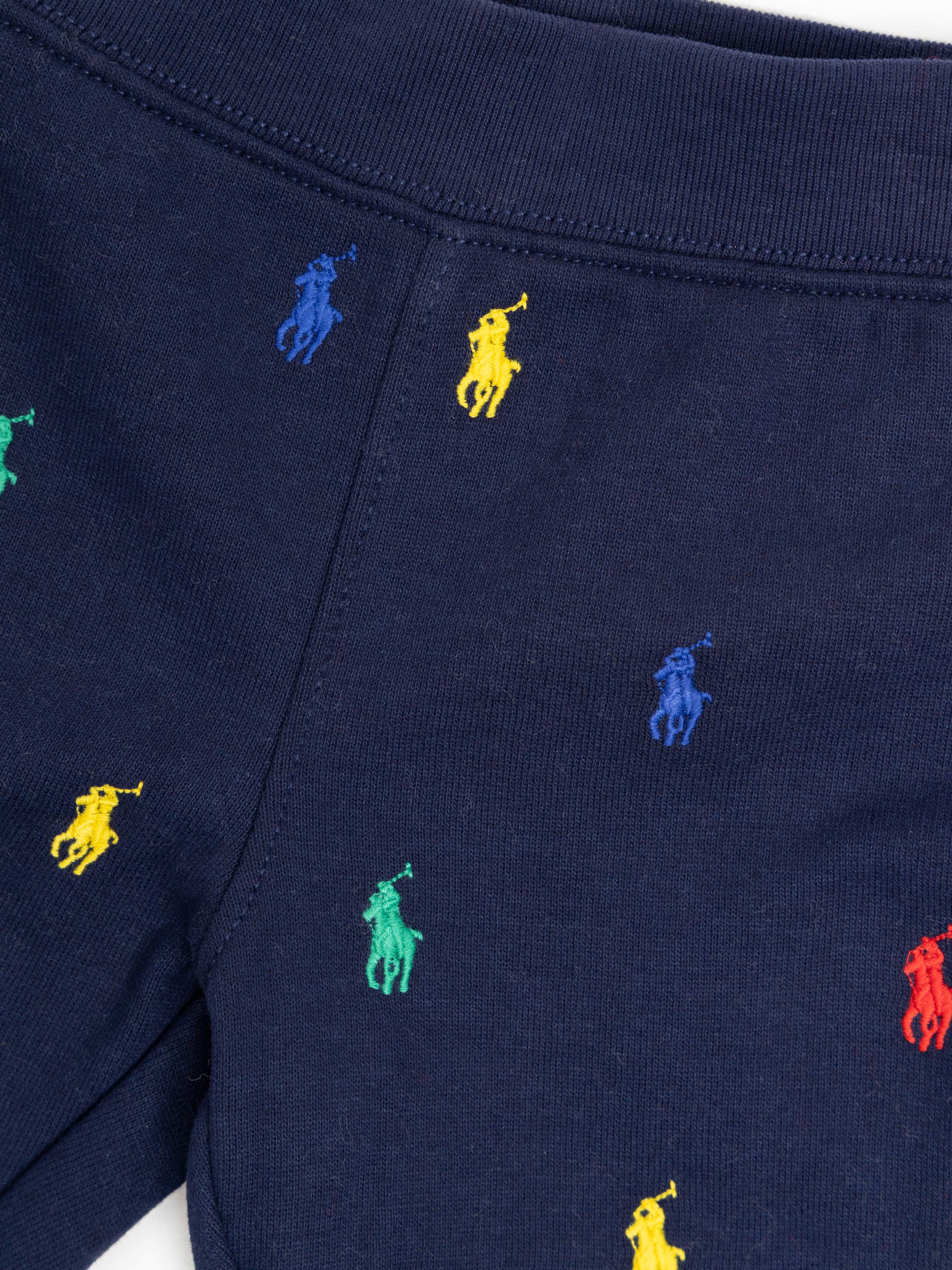 Polo Pony Full-Zip Hoodie & Pant Set