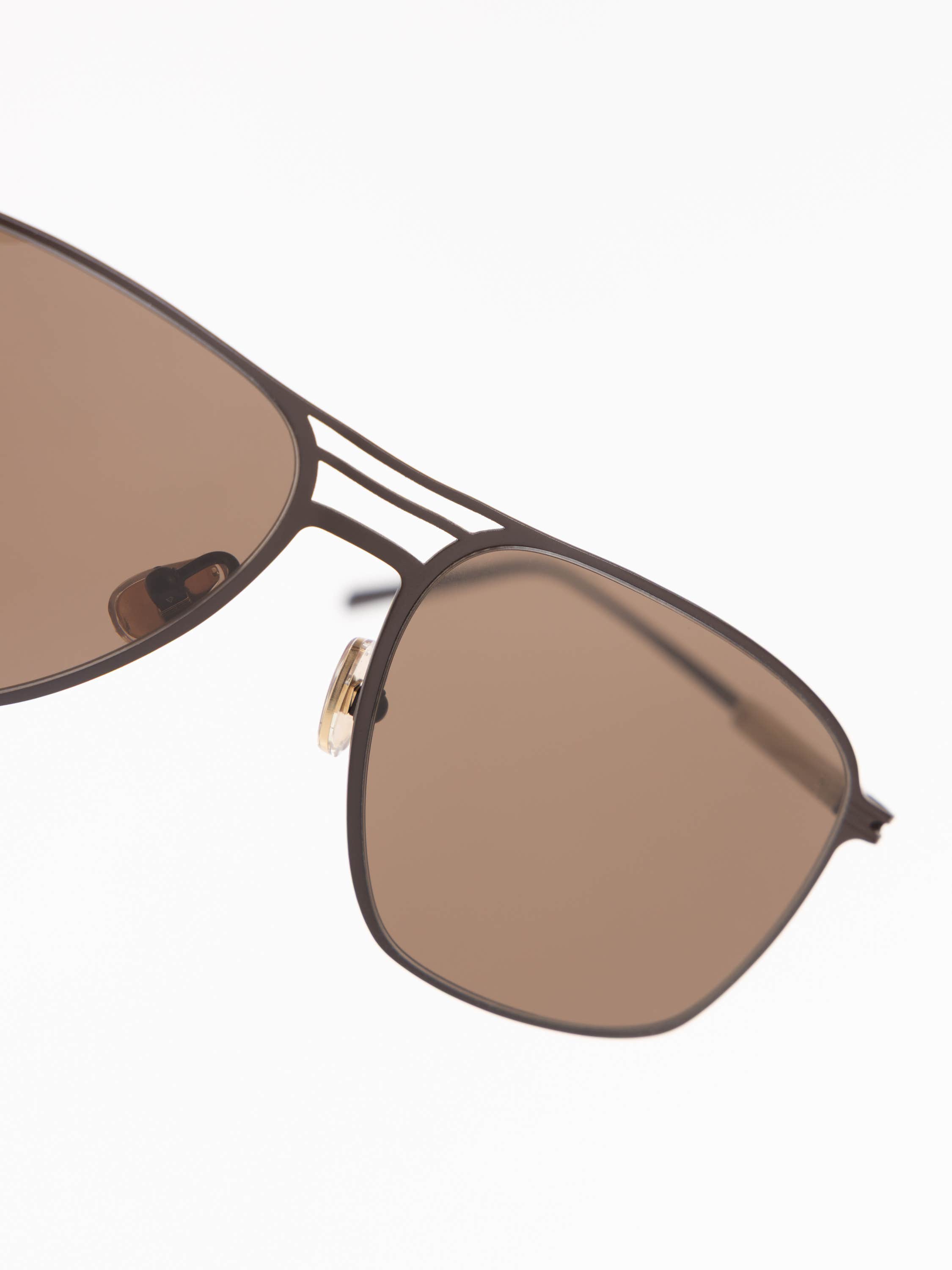 Brown Titanium Aviator Sunglasses
