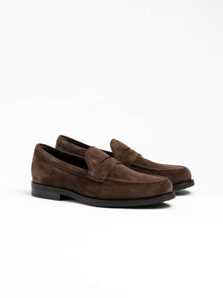 TOD'S Dark Brown Suede Loafer
