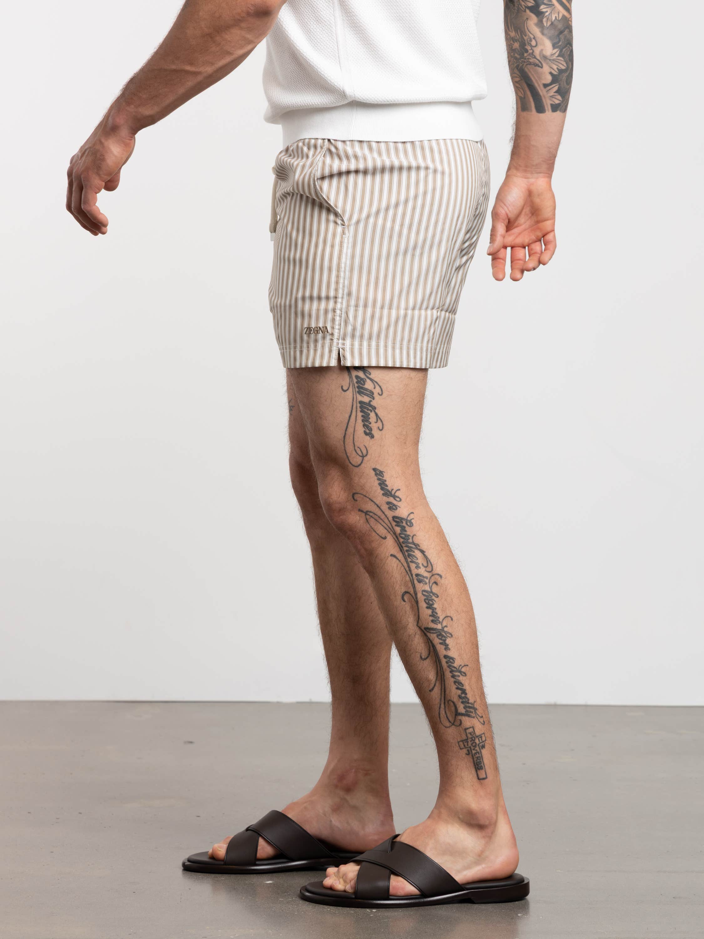 Brown Striped Swim Trunks