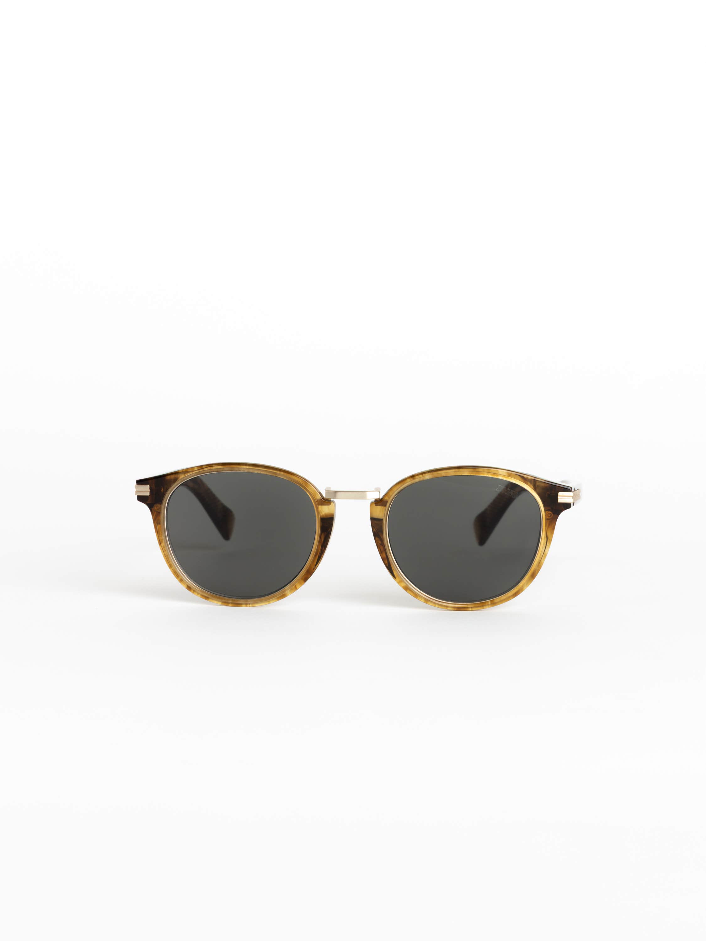 Transparent Light Brown Acetate and Titanium Sunglasses