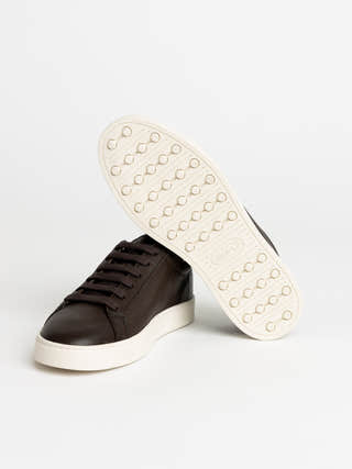 TOD'S Brown Leather Sneakers
