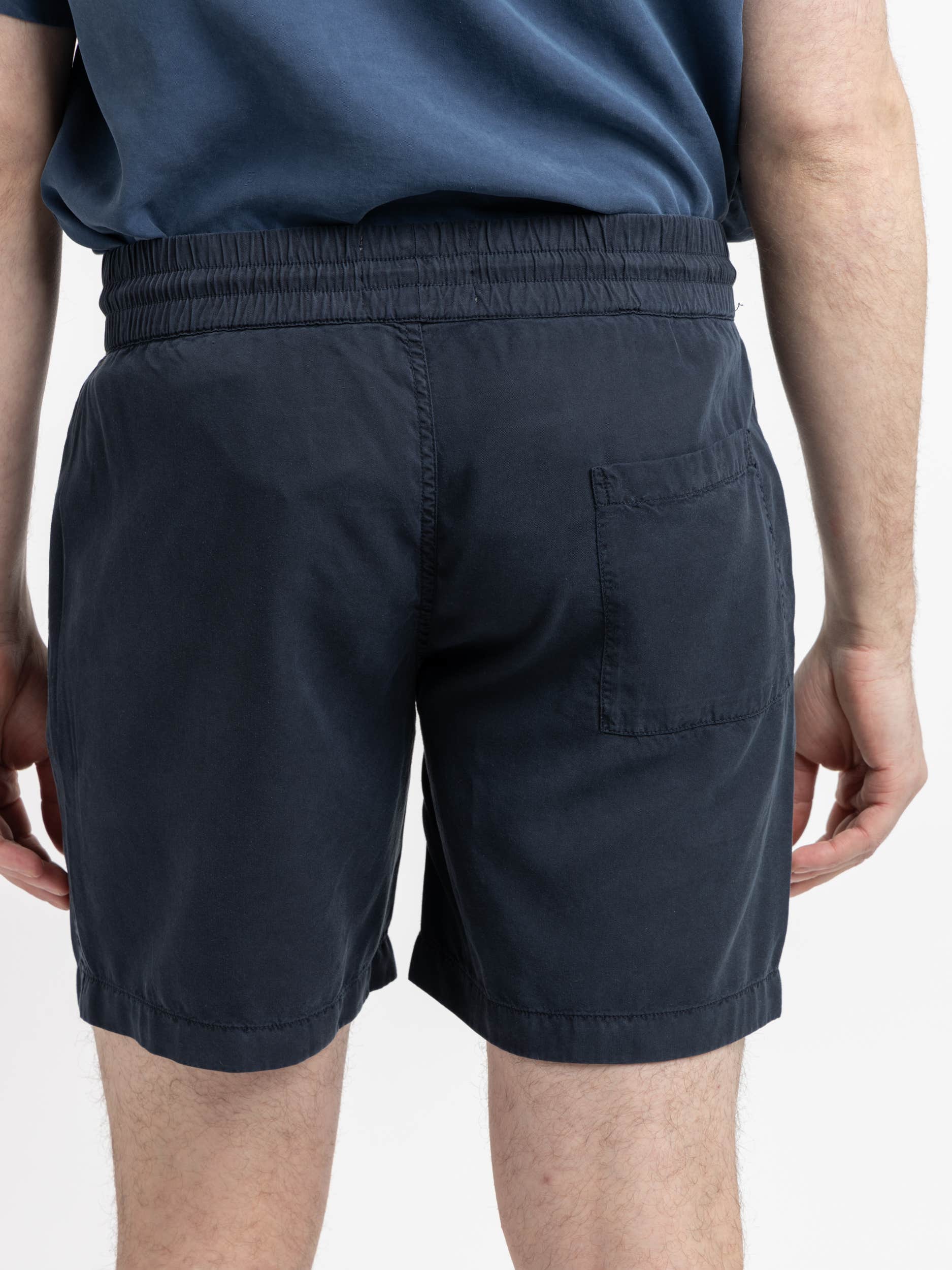 Blue Dogtown Shorts